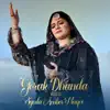 Syeda Amber Naqvi - Gorak Dhanda - Single
